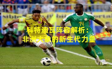 科特迪瓦阵容解析：非洲大象的新生代力量