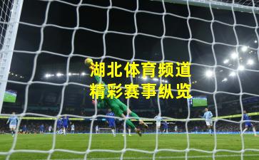 湖北体育频道精彩赛事纵览