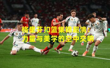 格里芬扣篮集锦超清：力量与美学的空中交响